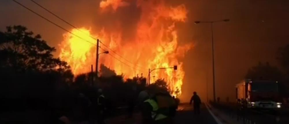 Δελτίο Ειδήσεων - ΑΝΤ1 - Μάτι - φωτιά