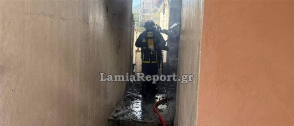 φωτιά Λαμία