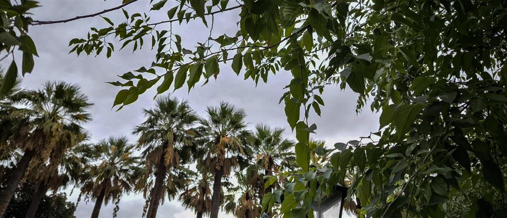 Τι καιρό θα κάνει τη Δευτέρα