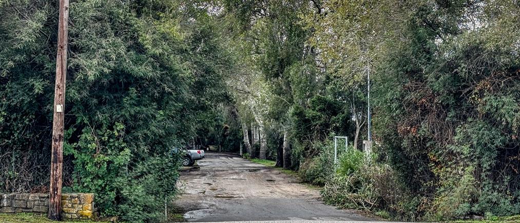 Εξελίξεις στη διπλή δολοφονία της Φοινικούντας