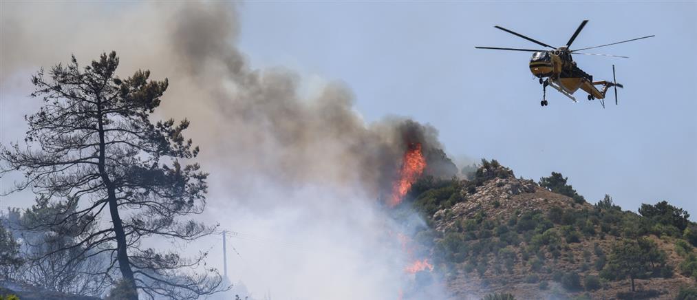 Φωτιά: Πολύ υψηλός κίνδυνος πυρκαγιιάς αύριο - Οι περιοχές που βρίσκονται στην κατηγορία 4