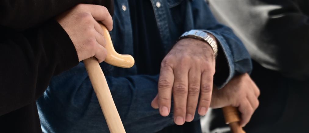 Αγροτικές επιδοτήσεις: Τα βασικά χαρακτηριστικά του μεταβατικού συστήματος πληρωμών και ελέγχων για το 2025