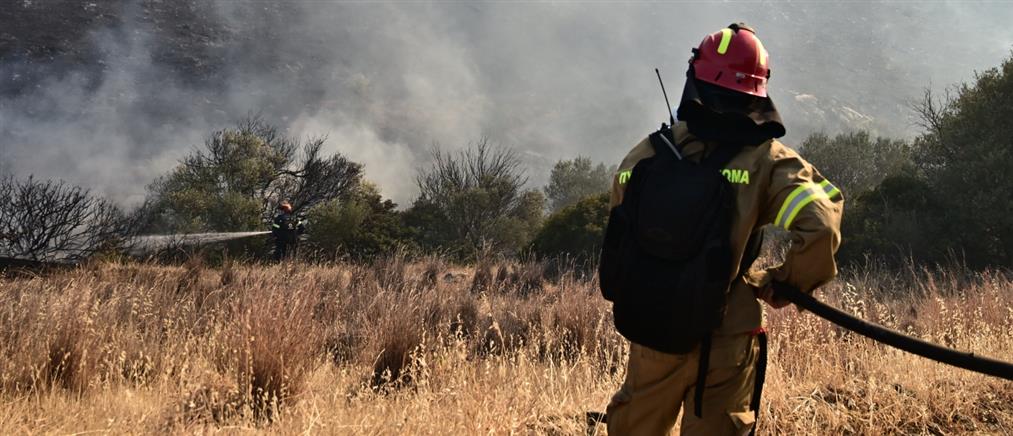 Πολύ υψηλός κίνδυνος πυρκαγιάς και αύριο, Πέμπτη - Αναλυτικός χάρτης περιοχών