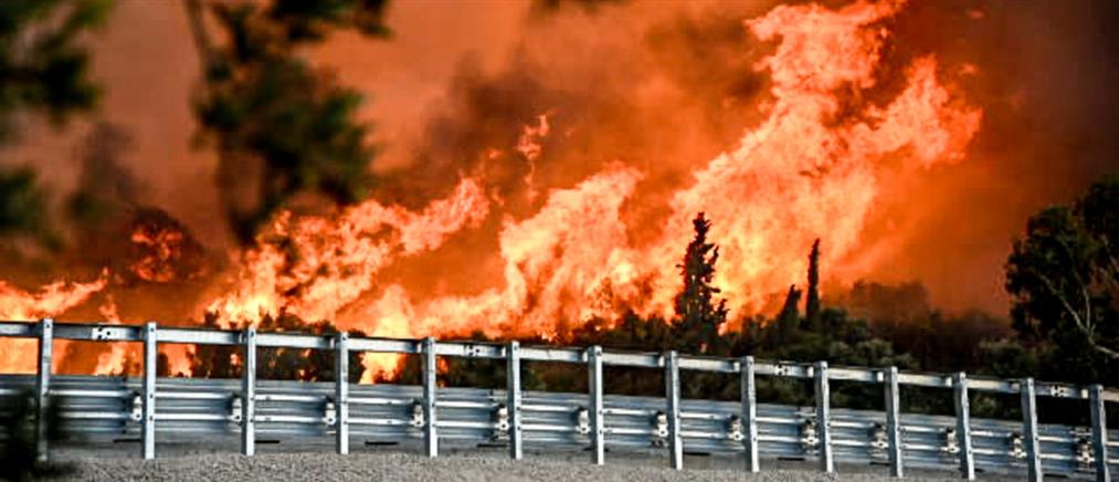 Φωτιές: Δορυφορικές εικόνες αποτυπώνουν τα σημαντικότερα πύρινα μέτωπα