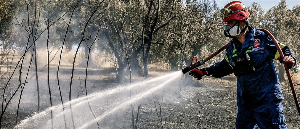 Φωτιά στο Κερασοχώρι Θεσπρωτίας