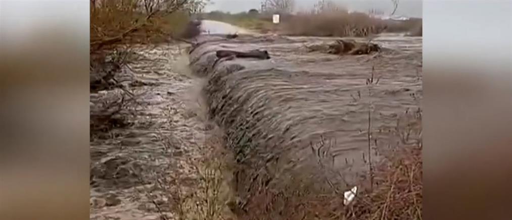 Ροδόπη: Συνεχίζονται οι έρευνες για τον αγνοούμενο αγρότη