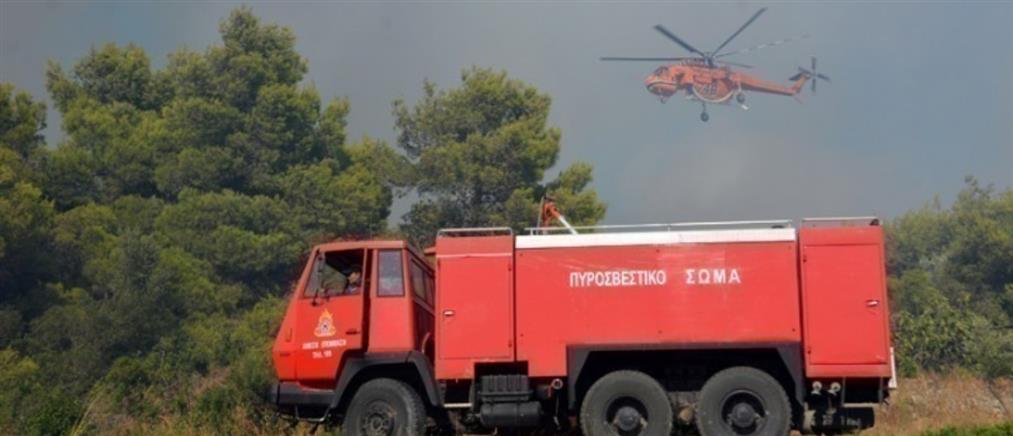 Φωτιά στη Μεσσηνία