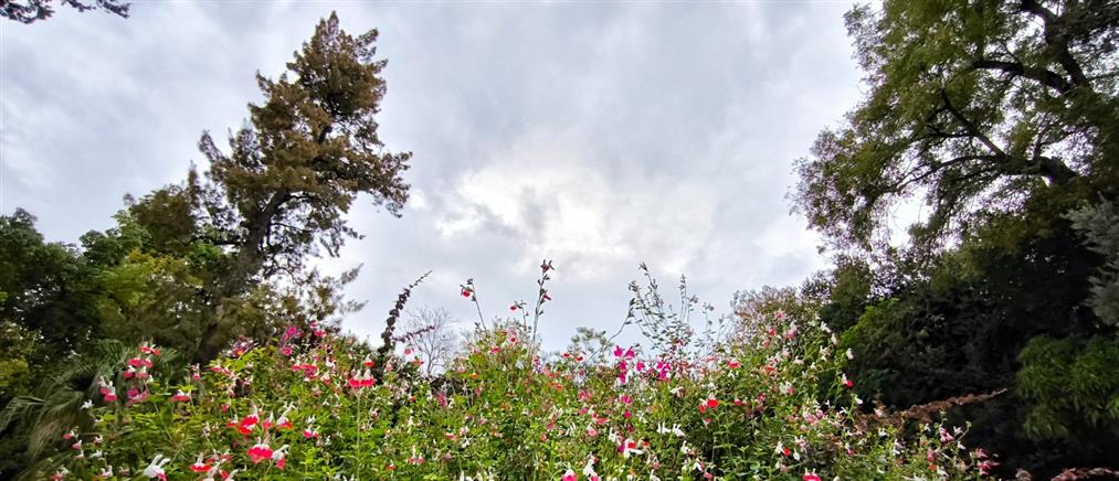 Τι καιρό θα κάνει την Παρασκευή