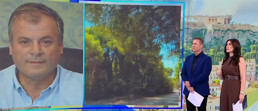 Διπλό φονικό στη Φοινικούντα: Η μαρτυρία του δημάρχου Πύλου για το έγκλημα