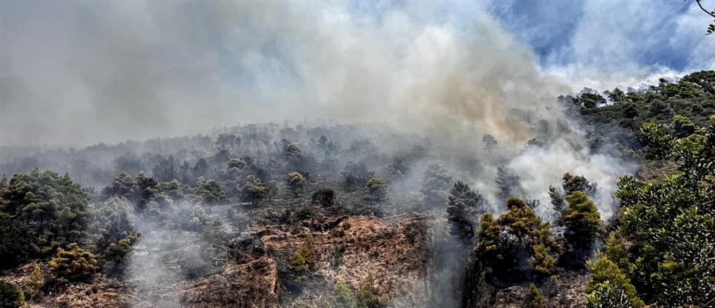 Υψηλός κίνδυνος πυρκαγιάς σήμερα σε Αττική και άλλες περιοχές
