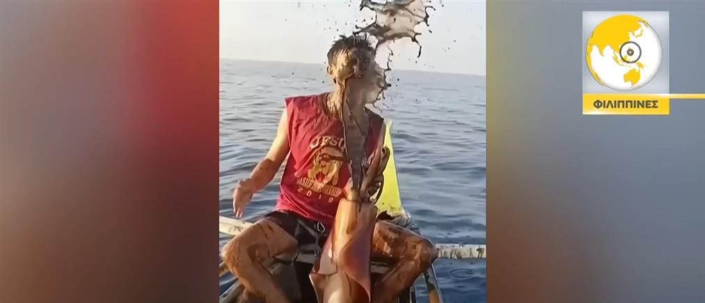 Καλαμάρι εκδικείται ψαρά που το... αιχμαλώτισε!