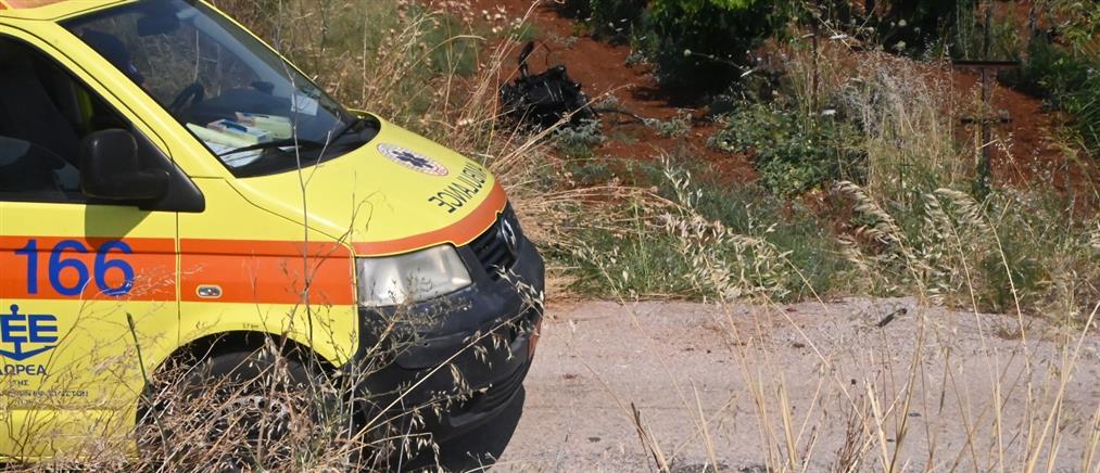 Τροχαίο με εγκατάλειψη στο Αίγιο: Διανομέας παρέσυρε 60χρονη σκοτώνοντας τον σκύλο της