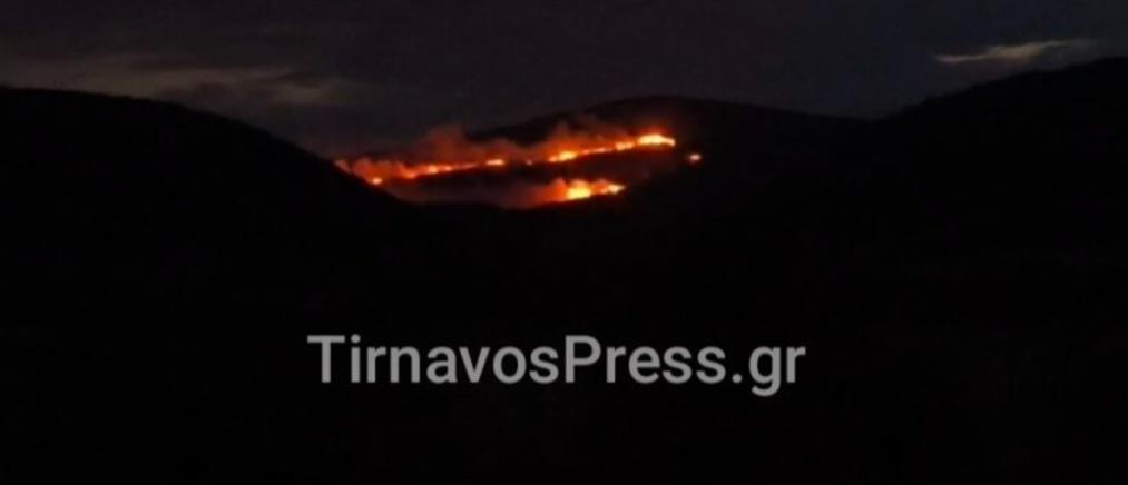 Φωτιά στο Αμύγδαλο Τυρνάβου: Ενισχύονται οι πυροσβεστικές δυνάμεις