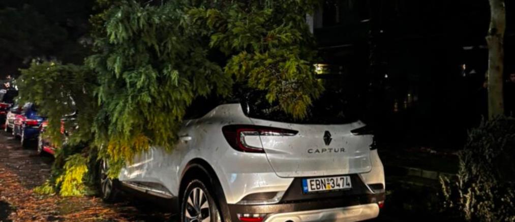 Αλεξανδρούπολη: Εικόνες βιβλικής καταστροφής από το πέρασμα της κακοκαιρίας (εικόνες)