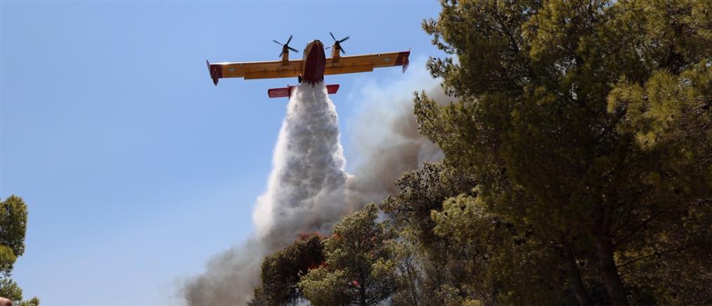 Πυρκαγιά σε δασική έκταση στο Καλό Πηγάδι Φωκίδας