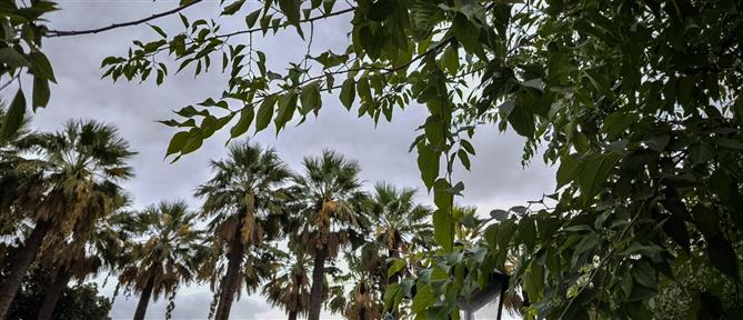 Τι καιρό θα κάνει τη Δευτέρα