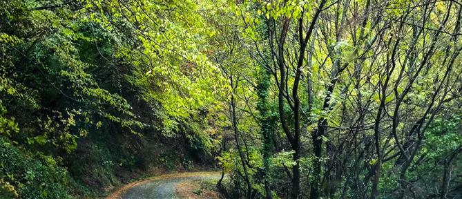 Τι καιρό θα κάνει την Παρασκευή