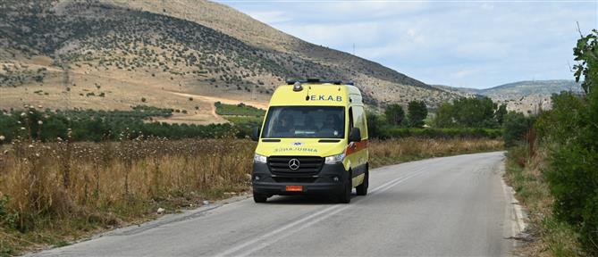 Τραγωδία στη Φθιώτιδα: 50χρονος πέθανε από τσίμπημα μέλισσας