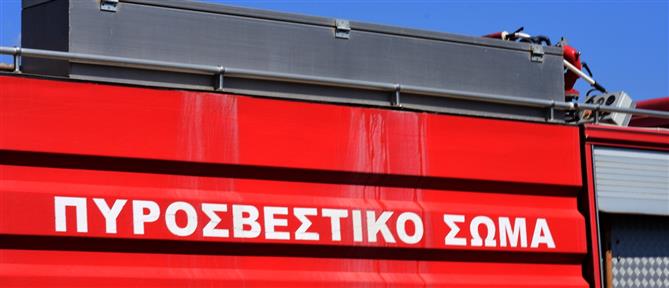 Φωτιά στην Ηλεία