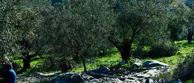 ΠΑΣΟΚ: Οι ευρωβουλευτές μας καταψήφισαν τα μέτρα της Mercosur