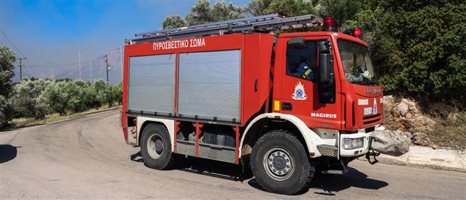 Φωτιά σε δασική έκταση στη Θεσσαλονίκη