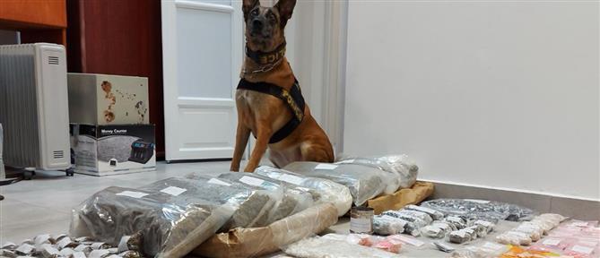 Λιμενικό Σώμα - K-9 Ugly: “Έφυγε” η όμορφη… άσχημη (εικόνες)