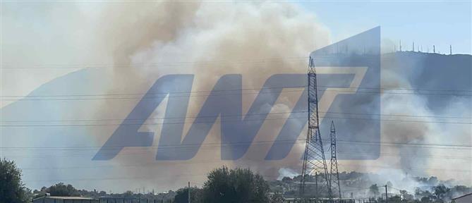 Παιανία: Υπό μερικό έλεγχο η φωτιά – Αποκαταστάθηκε η κυκλοφορία στο σημείο