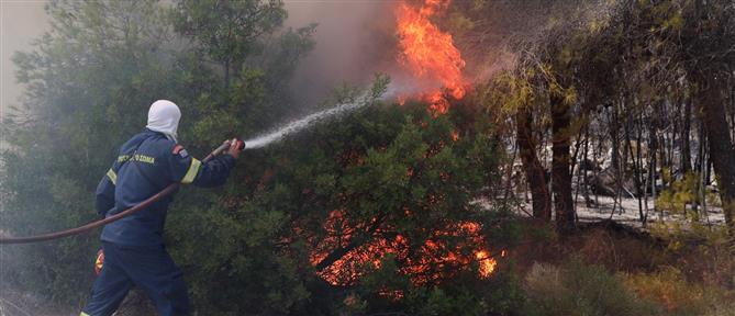 Πυροσβεστική: 35 αγροτοδασικές πυρκαγιές το τελευταίο 24ωρο
