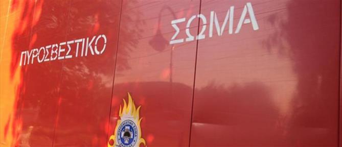 Πυρκαγιά σε αγροτοδασική έκταση στην Αρκαδία	
