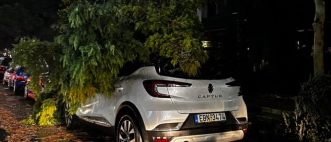 Αλεξανδρούπολη: Εικόνες βιβλικής καταστροφής από το πέρασμα της κακοκαιρίας (εικόνες)